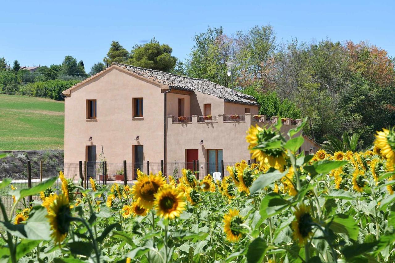 Casa Montefiore 13 Iris Lt Nella Tranquilla Campagna Marchigiana Ancona Exteriér fotografie